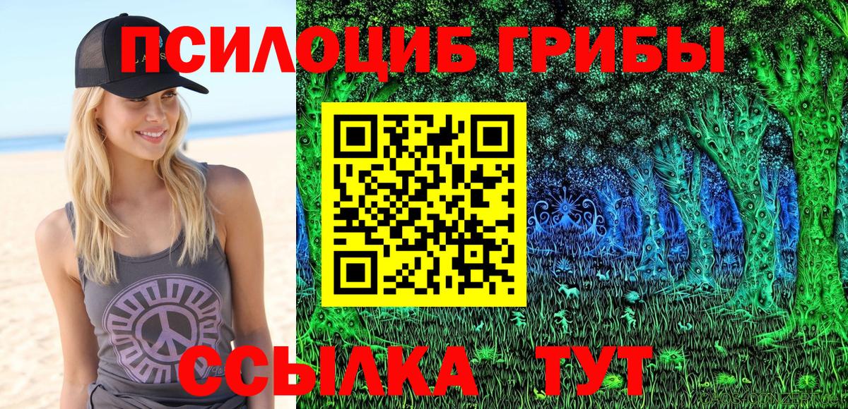 Галлюциногенные грибы Psilocybe Сорочинск
