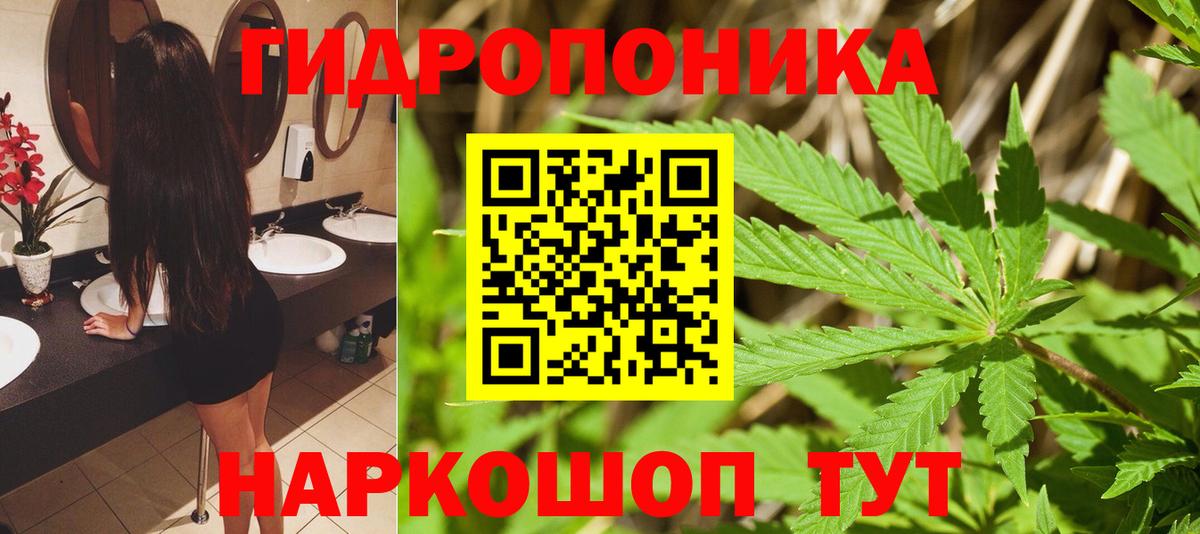 Шишки марихуана конопля Сорочинск